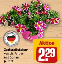 REWE Zauberglöckchen Angebot