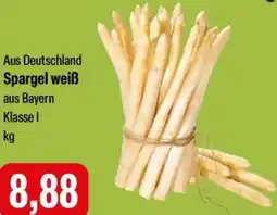 Feneberg Spargel weiß Angebot
