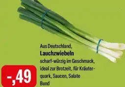 Feneberg Lauchzwiebeln Angebot