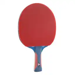 Netto Marken-Discount JOOLA Rossi JR Pro Kinder Tischtennisschläger Angebot
