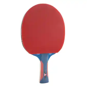 Netto Marken-Discount JOOLA Rossi JR Pro Kinder Tischtennisschläger Angebot