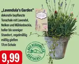 Feneberg Lavendula's Garden Angebot