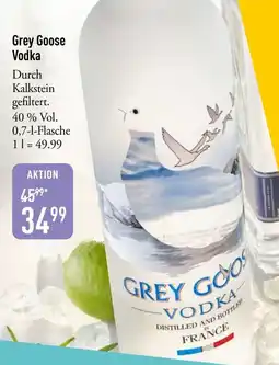 Galeria Markthalle Grey Goose Vodka Angebot