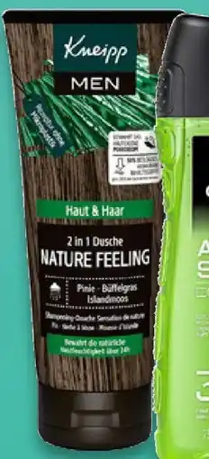 Kaufland KNEIPP Men 2-in-1 Duschgel Angebot