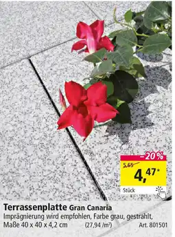 Holz Possling Terrassenplatte Gran Canaria Angebot