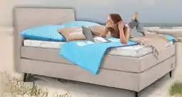 Trends Möbel Sansibar Boxspringbett Poel Angebot