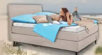 Trends Möbel Sansibar Boxspringbett Poel Angebot