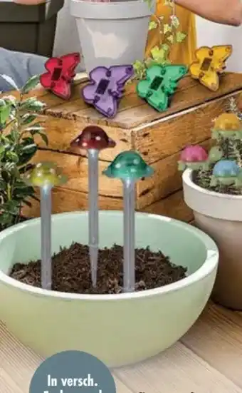 Trends Möbel Pflanztopf Gardino Angebot