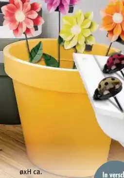Trends Möbel Pflanztopf Gardino Angebot