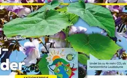 Hellweg Plantiflor Bio-CO₂-Klimabaum Kiri-Baum Angebot