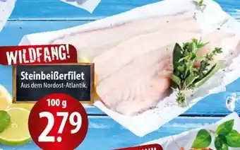 Famila Nord Ost Steinbeiẞerfilet Angebot
