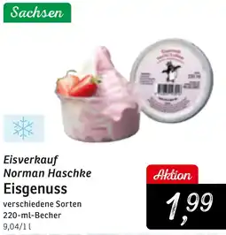 KONSUM Eisverkauf Norman Haschke Eisgenuss Angebot