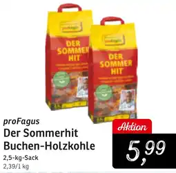 KONSUM proFagus Der Sommerhit Buchen-Holzkohle Angebot