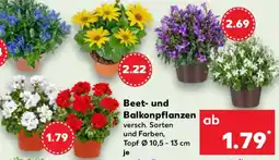 Kaufland Beet- und Balkonpflanzen Angebot