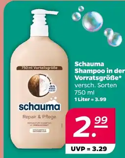 NETTO Schauma shampoo in der vorratsgröße Angebot