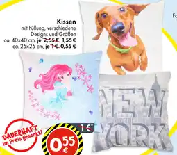 TEDi Kissen Angebot