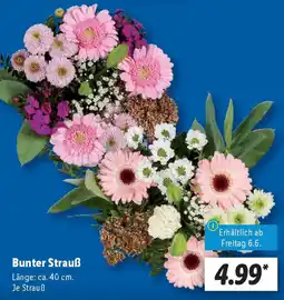 Lidl Bunter Strauß Angebot