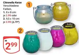 Globus Citronella Kerze Angebot