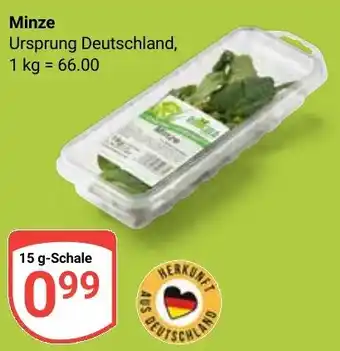 Globus Minze Angebot