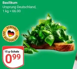 Globus Basilikum Angebot