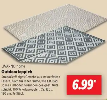 Lidl LIVARNO home Outdoorteppich Angebot
