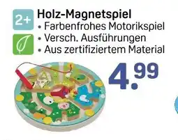 Rossmann Holz-Magnetspiel Angebot