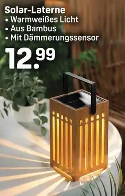 Rossmann Solar-Laterne Angebot