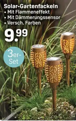 Rossmann Solar-Gartenfackeln Angebot