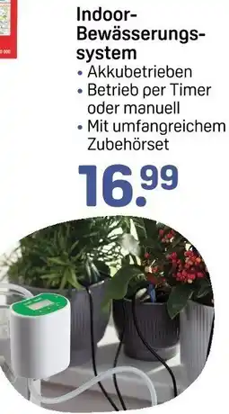 Rossmann Indoor Bewässerungssystem Angebot