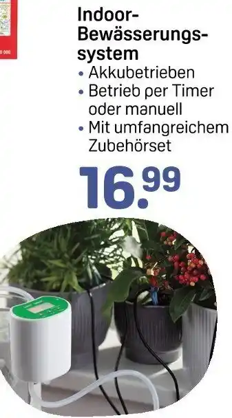 Rossmann Indoor Bewässerungssystem Angebot