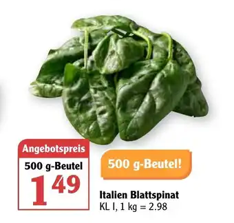 Globus Italien Blattspinat 1kg/500g Angebot