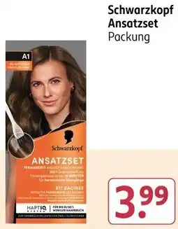 Rossmann Schwarzkopf Ansatzset Angebot