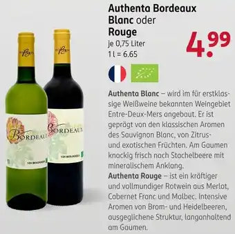 Rossmann Authenta Bordeaux Blanc oder Rouge Angebot