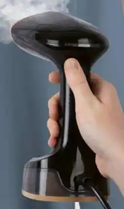 Hagebau 2in1-Dampfbürste Angebot