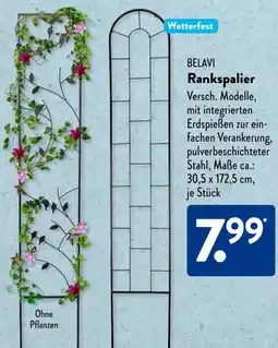 Aldi Süd BELAVI Rankspalier Angebot
