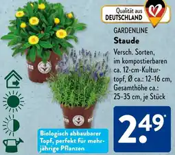 Aldi Süd GARDENLINE Staude Angebot