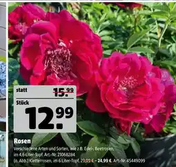 Hagebau Rosen Angebot