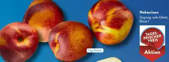 Aldi Süd Nektarinen Angebot