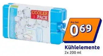 Action Kühlelemente Angebot