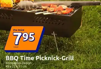 Action BBQ Time Picknick-Grill Angebot