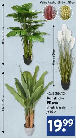 Aldi Süd HOME CREATION Künstliche Pflanze Angebot