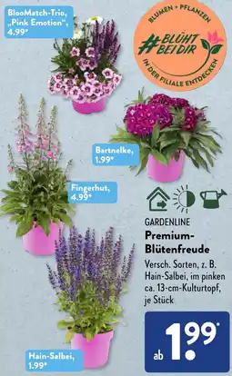 Aldi Süd GARDENLINE Premium Blütenfreude Angebot