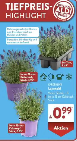 Aldi Süd GARDENLINE Lavendel Angebot