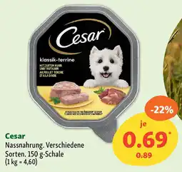 Fressnapf Cesar Nassnahrung. Angebot