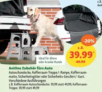 Fressnapf AniOne Zubehör fürs Auto Angebot