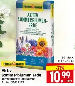 Edeka Herkules Flora gard Aktiv Sommerblumen Erde Angebot