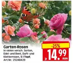 Edeka Herkules Garten-Rosen Angebot