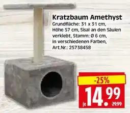 Edeka Herkules Kratzbaum Amethyst Angebot