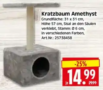 Edeka Herkules Kratzbaum Amethyst Angebot