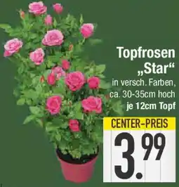 E-Center Topfrosen ,,Star" Angebot